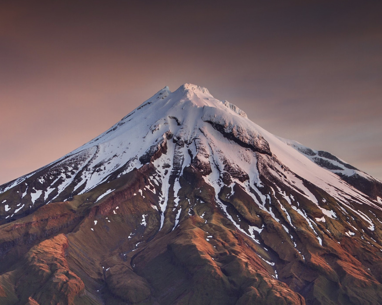 Our Story Stony River Black Angus